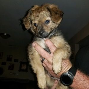 Meet your Posher, Thomas